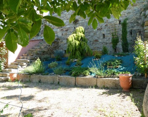 14 Jardin supérieur